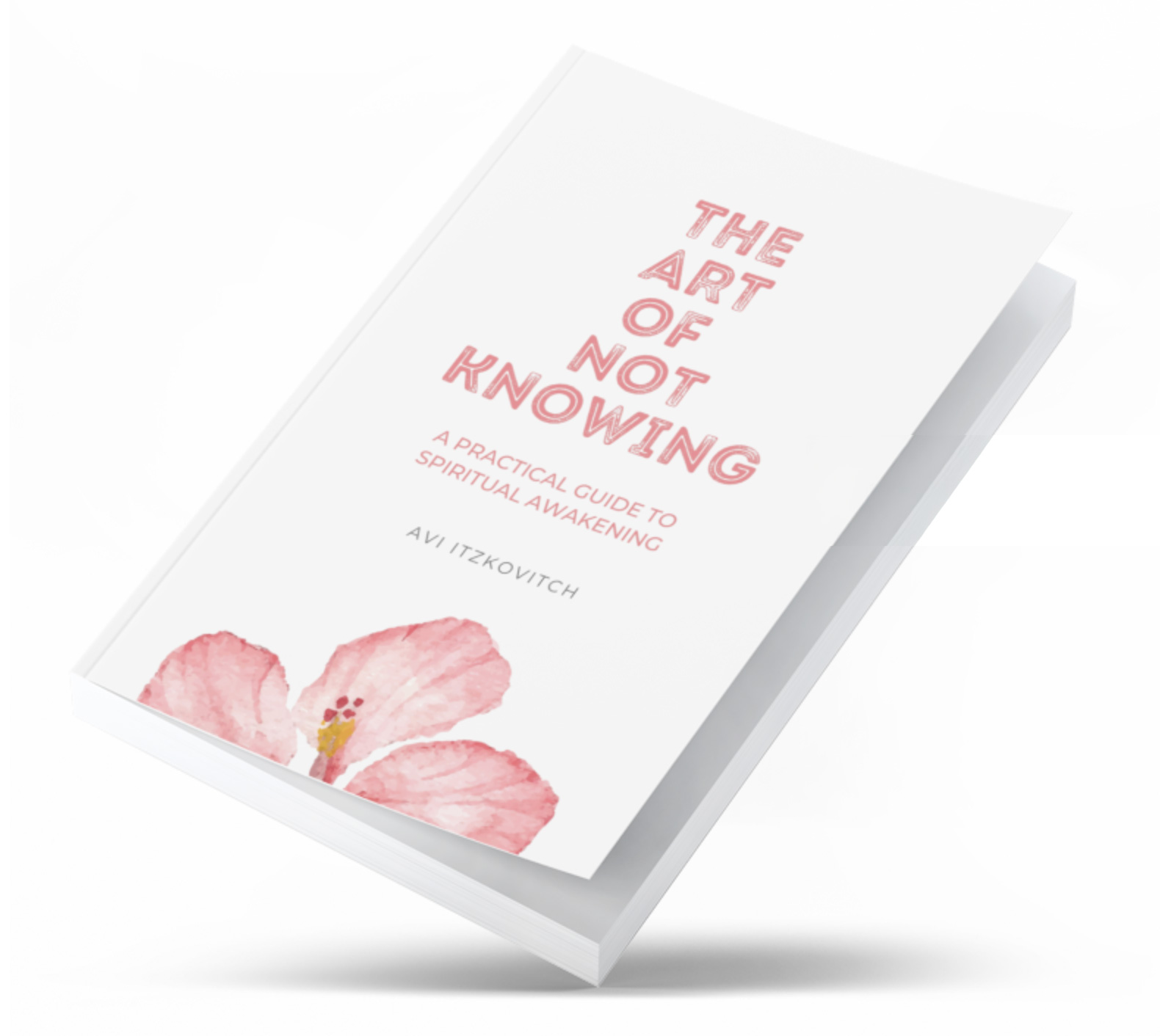 The Art of Not Knowing cover