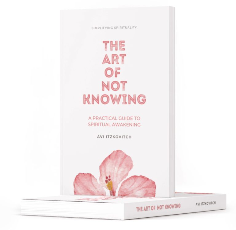The Art of Not Knowing cover