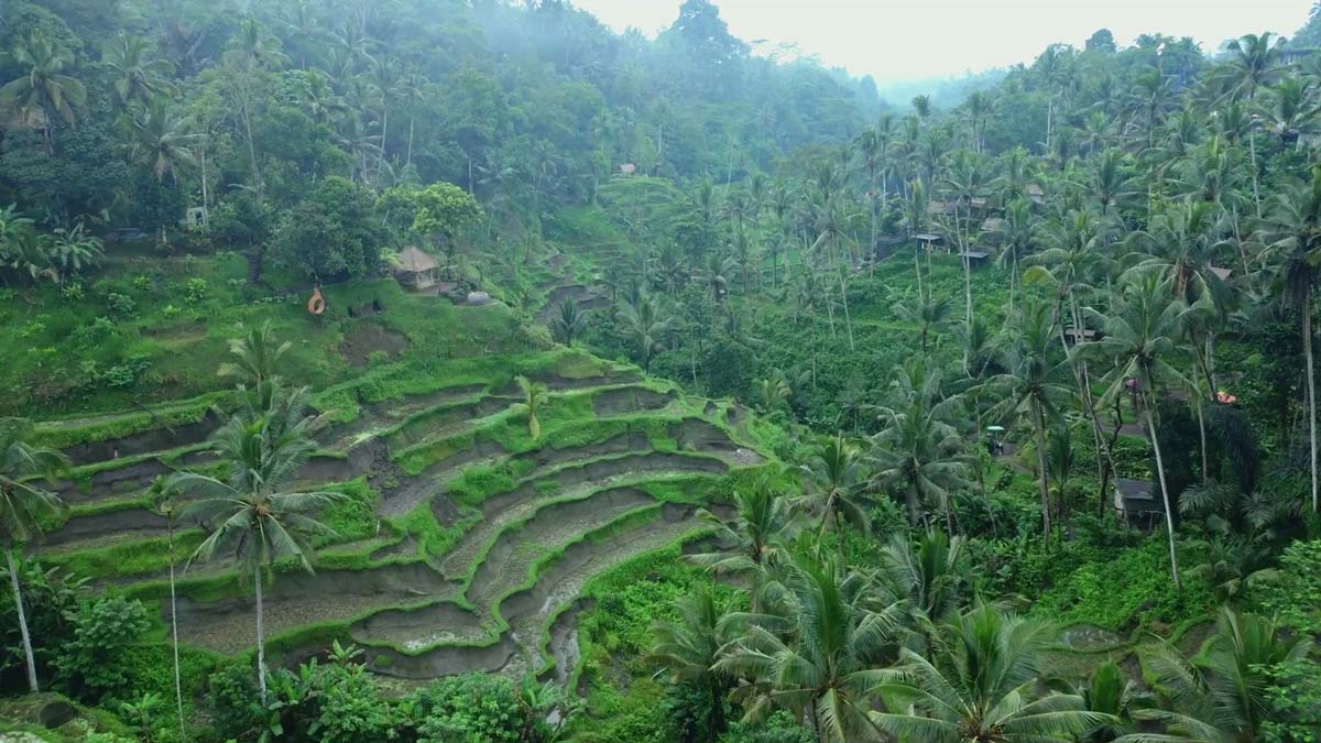 Bali Experience